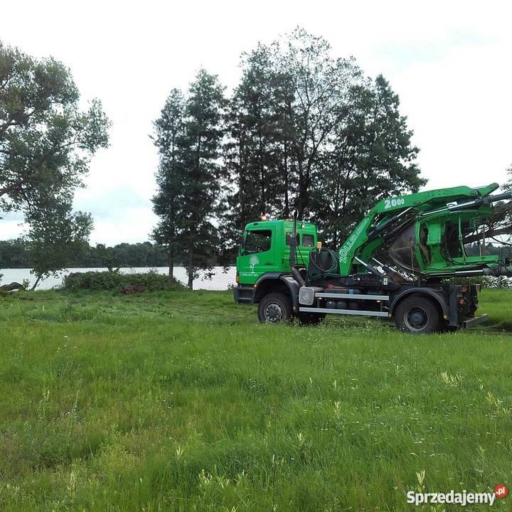 Przesadzanie drzew wielkopolskie Rogalinek