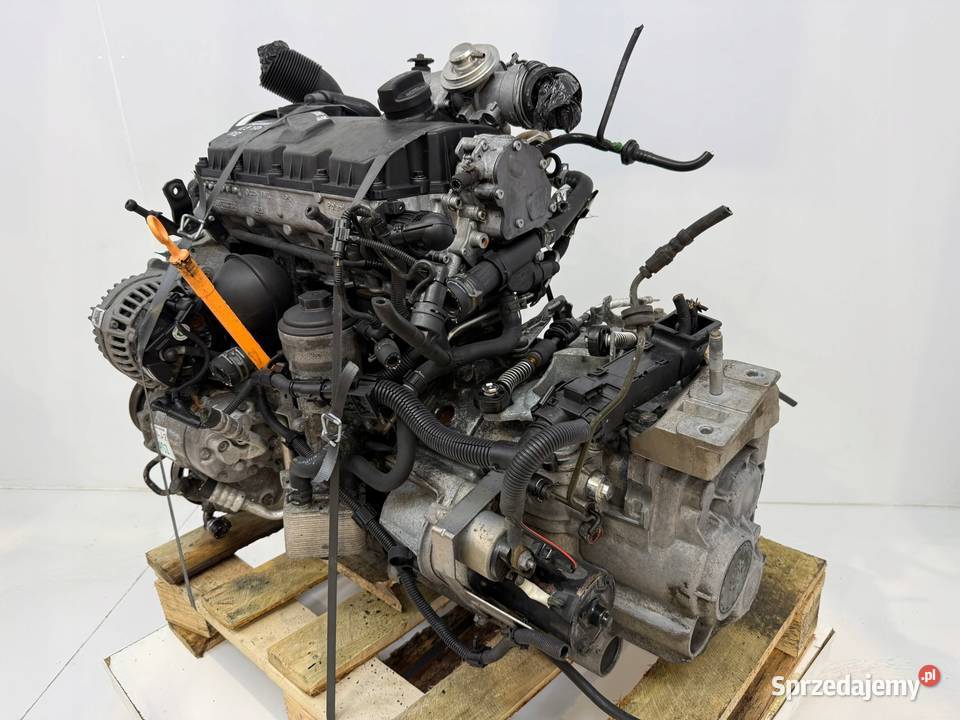 SILNIK ASZ VW Golf IV Bora Audi A3 8L Octavia Chełm