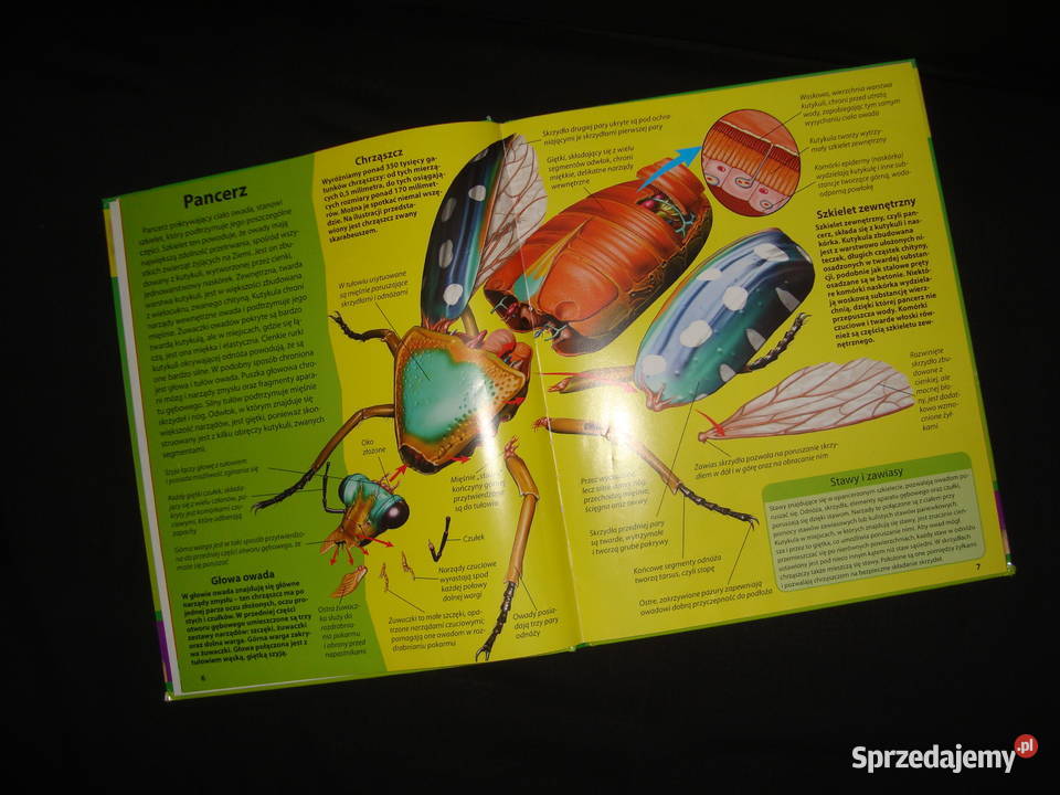 Natura Świat Owadów album z fotoopisem Tychy