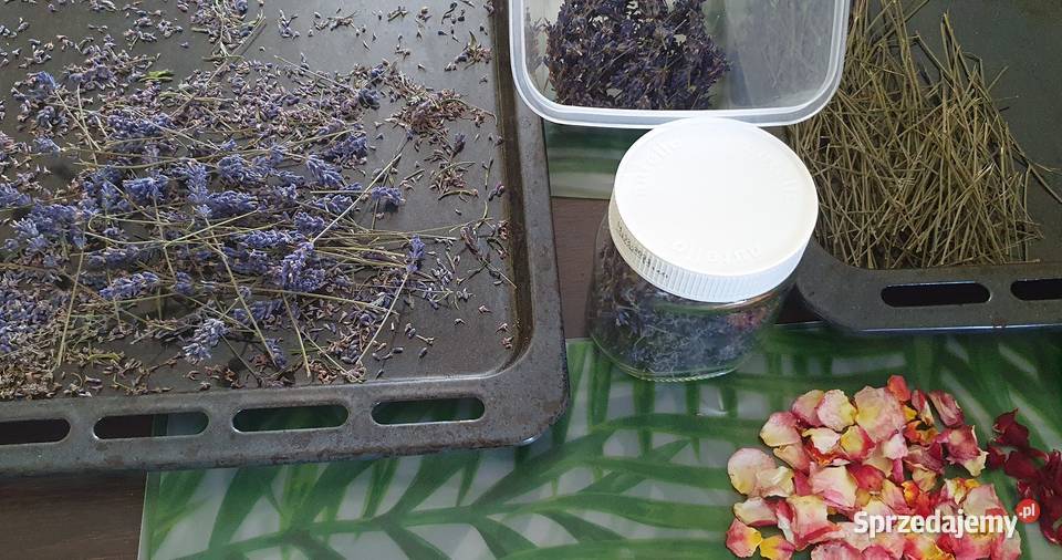 LAWENDA SUSZ Rzeszów