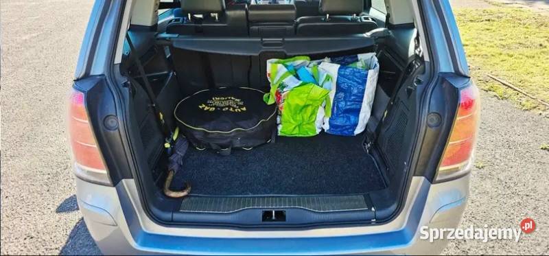 Opel Zafira 2005r 20 Van / Minibus