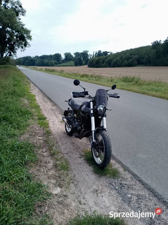 Benelli Leoncino 500 Scrambler Opole