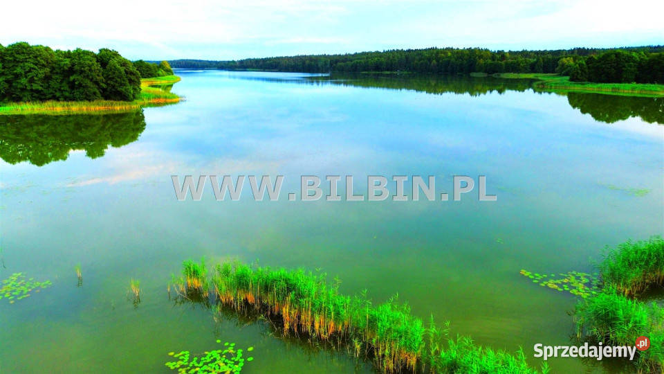 sprzedaży działki 20480m2 Garbas Pierwszy Sprzedaż podlaskie