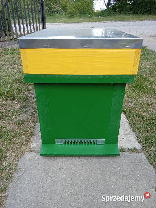 odkładowy wielkopolski 6ramkowy z powałką Świdwin