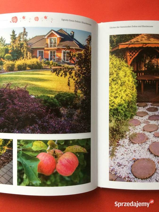 2709 Ogrody Szczecin