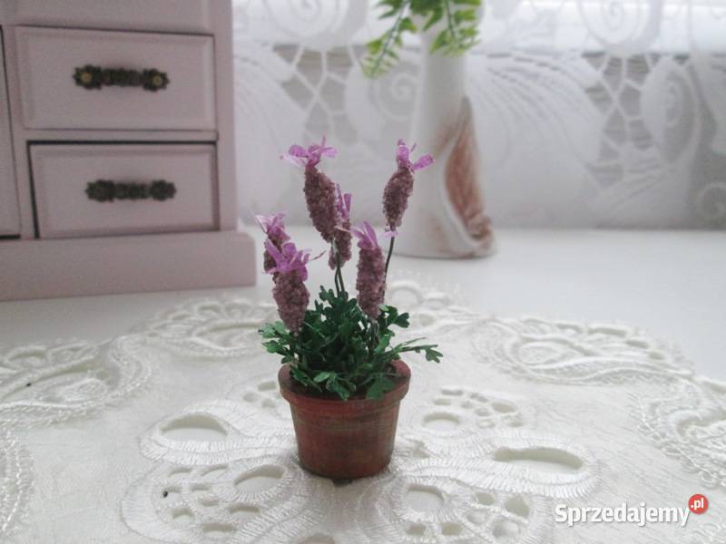 Akcesoria do domku lalek kwiat lawendy miniatury dolnośląskie Bogatynia sprzedam