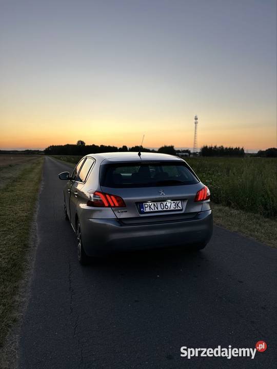 Peugeot 308 Budzisław Kościelny sprzedam