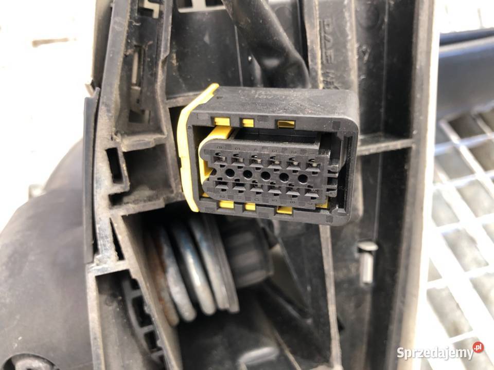 LUSTERKO LEWY DAF XF Ciągnik siodłowy ZEWNĘTRZNE podkarpackie