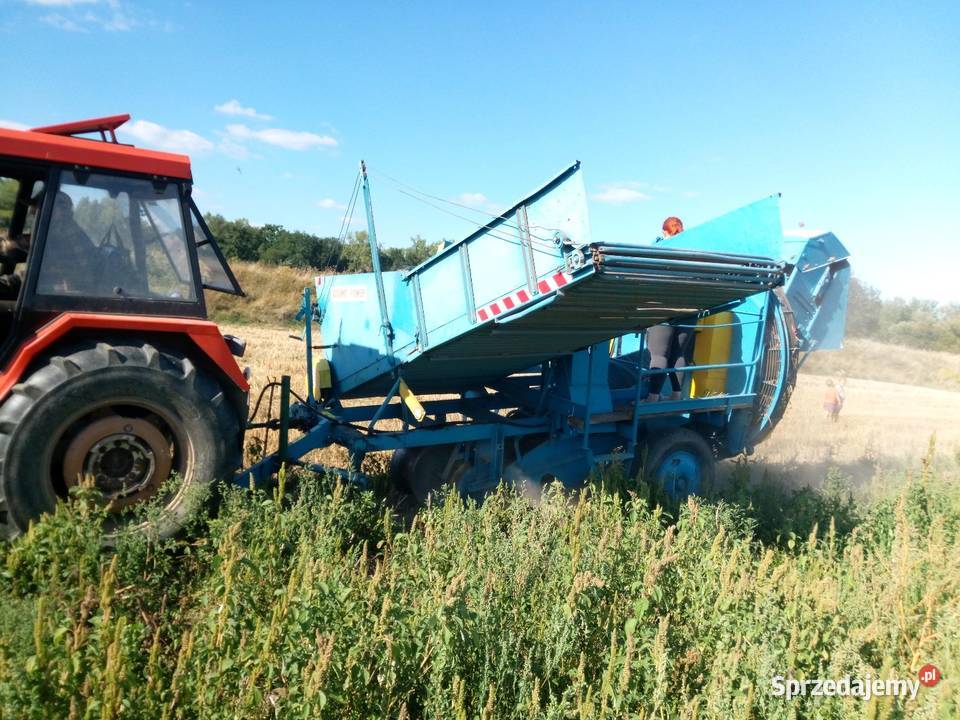 Kombajn Anna z 644 Do ziemniaków i warzyw Głogów