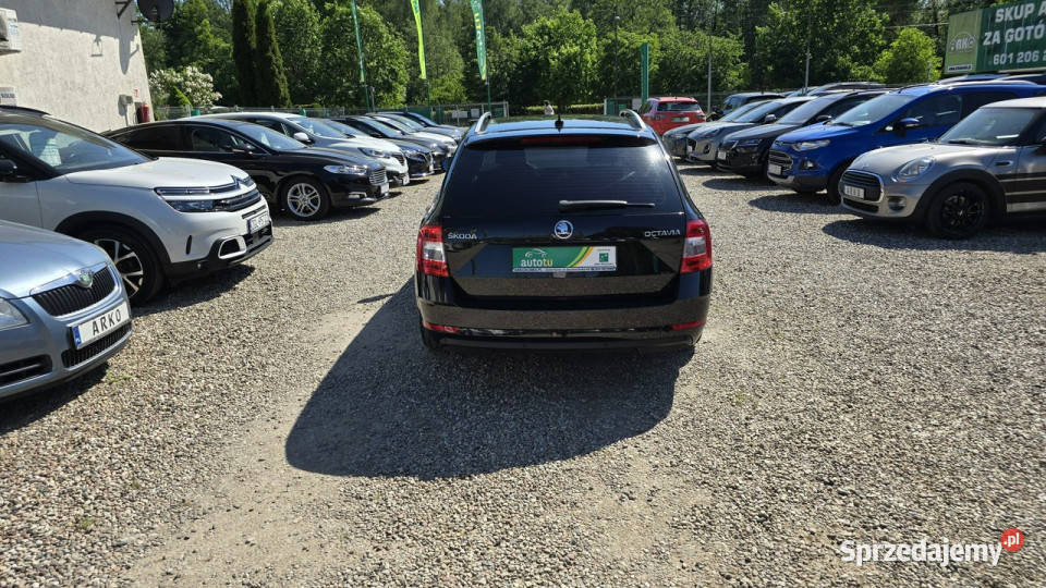koda Octavia polski salon 2x alufelgi III 2013 centralny zamek zachodniopomorskie Zieleniewo