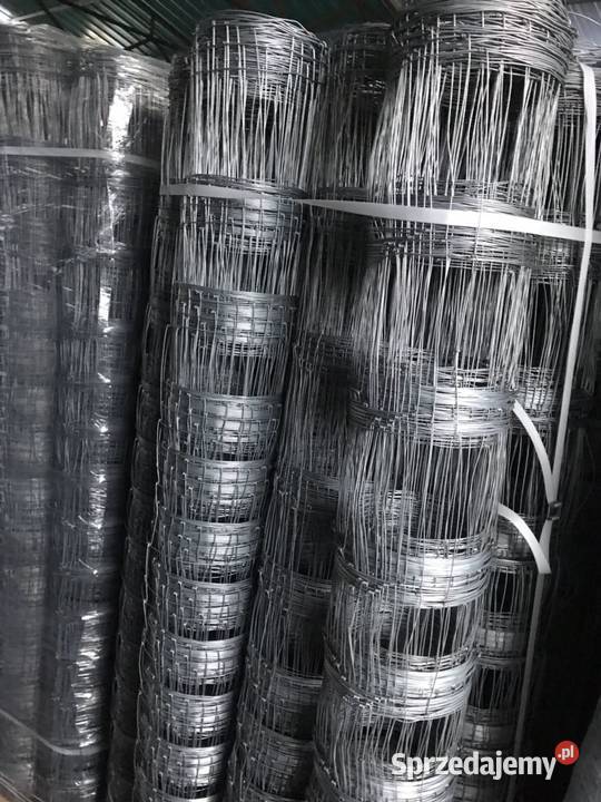 Siatka leśna 1501230 L rolka 50mb DOSTEPNA