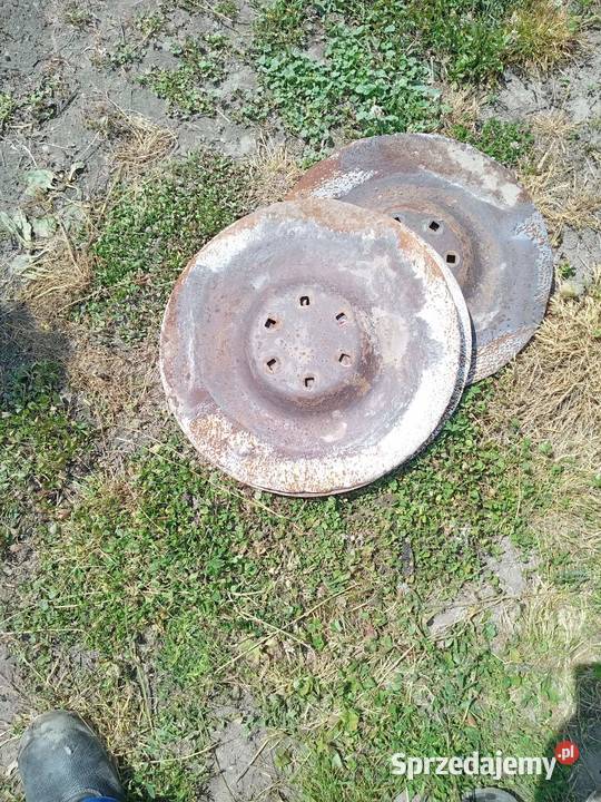 Talerze ofas Krośniewice sprzedam