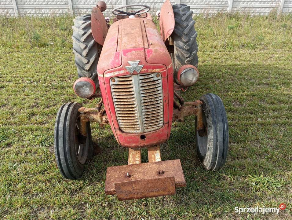 Ciągnik Massey ferguson Buk