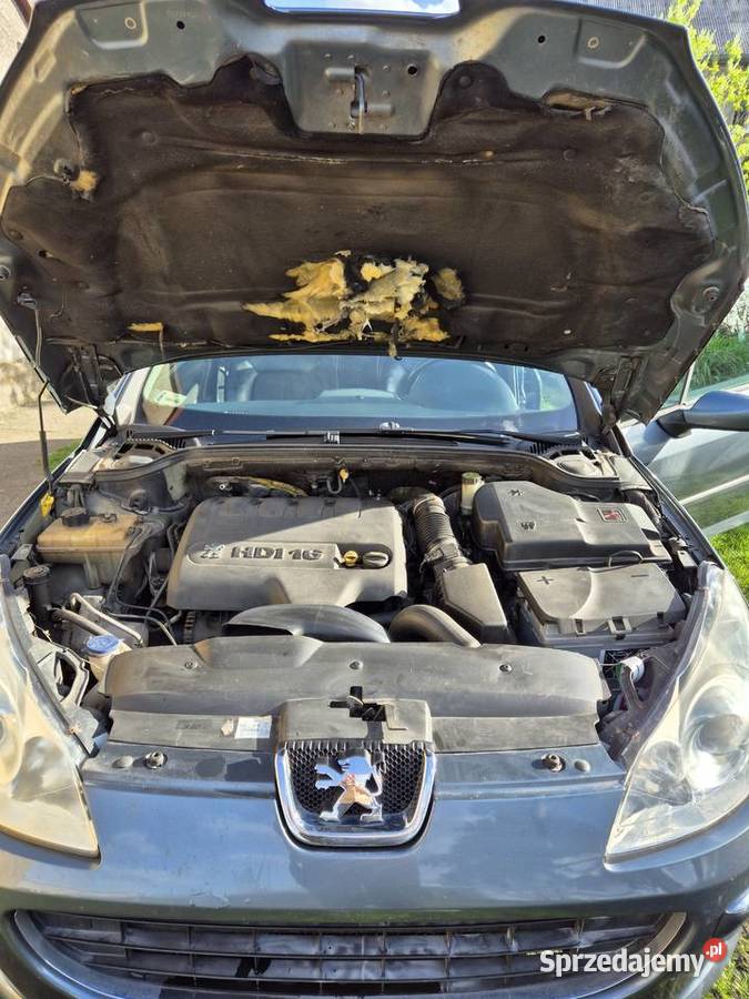 Peugeot 407 20 Hdi 2005r 1997cm3 Biniew