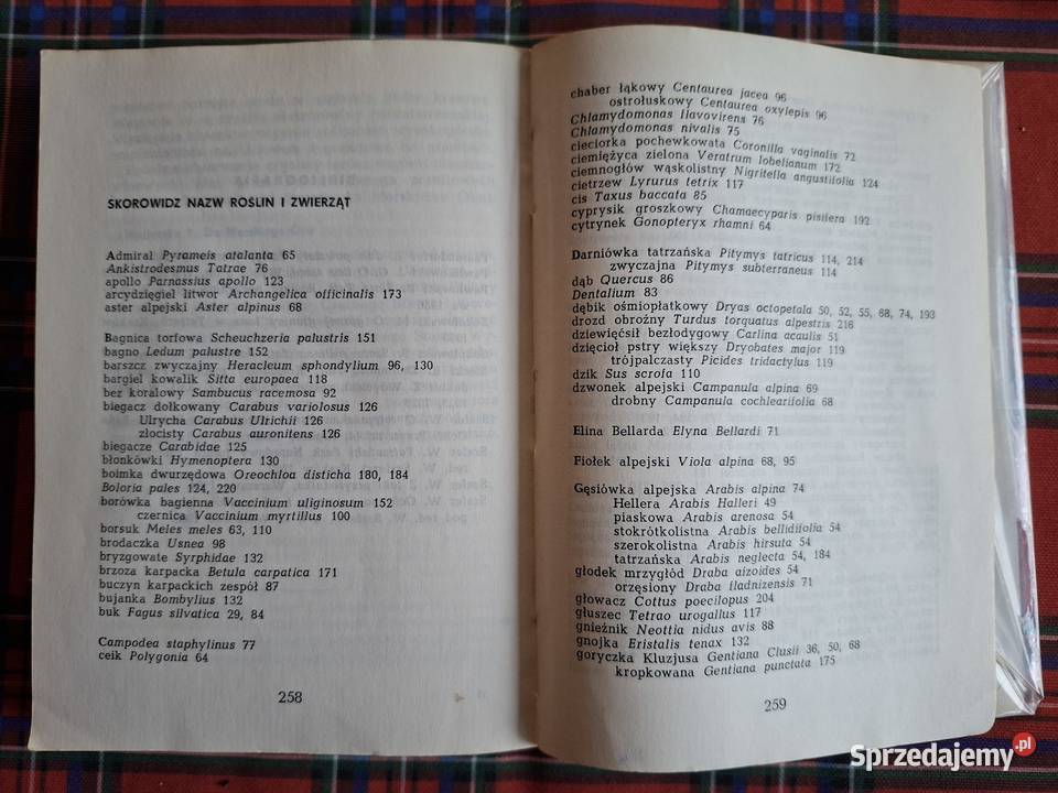 Tatry Konstanty Stecki Rok wydania 1968 Kraków sprzedam