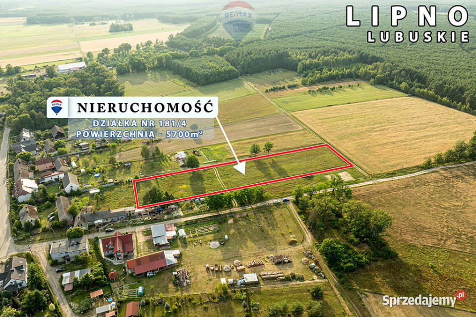 Na sprzedaż działka rolna 5700 m Sprzedaż Lipno