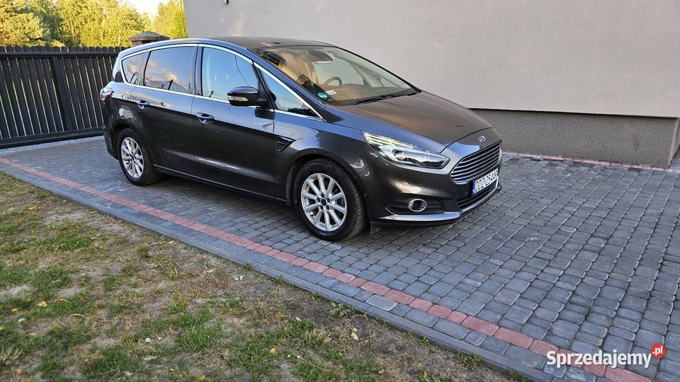 Ford S 20 TDCI 180 Gubin