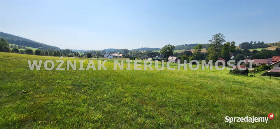 Do sprzedaży działka 3109m2 Grzędy Górne 64zł/m2 sprzedam
