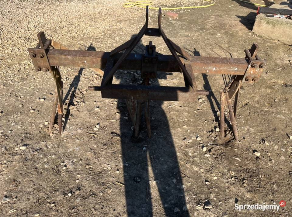 Wyorywacz do warzyw buraków