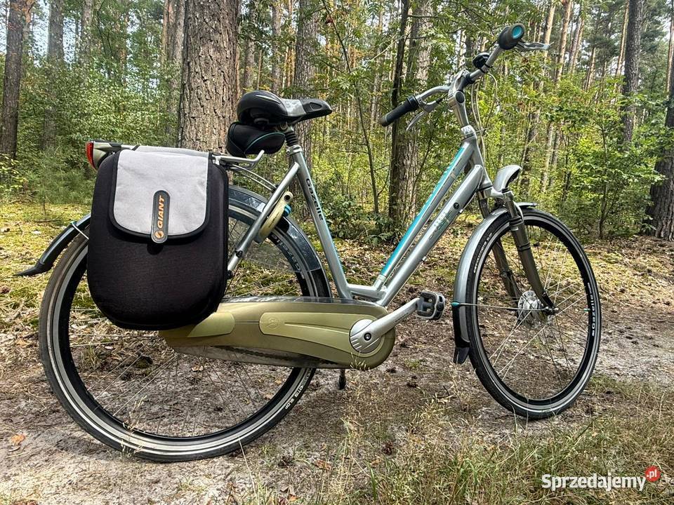 Gazelle Orange Limited Edition koła 28 duża rama Miejskie Miejskie Ostrów Wielkopolski sprzedam