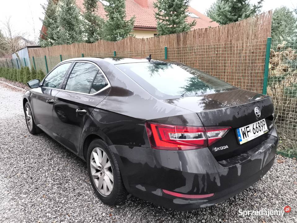 Niezawodna w stanie Superb 3 Sowia Wola