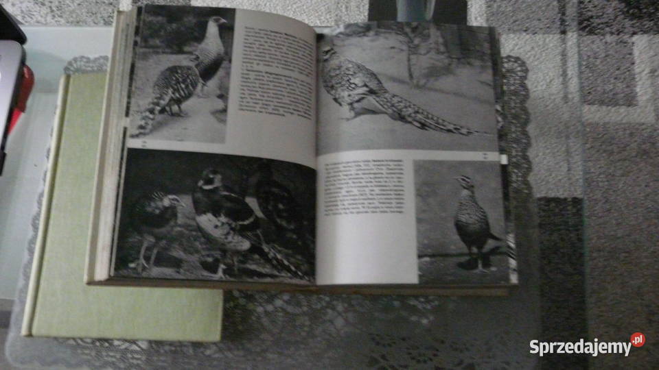 Wielki Atlas Ptaków JHanzak Wolsztyn