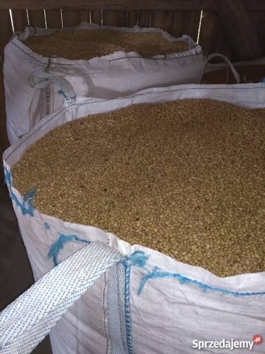 Bobik Granit wyczyszczony Kępa Lubawska