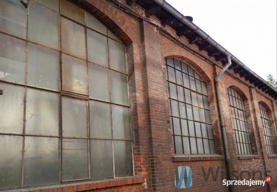 Do wynajęcia lokal 120m2 Wrocław