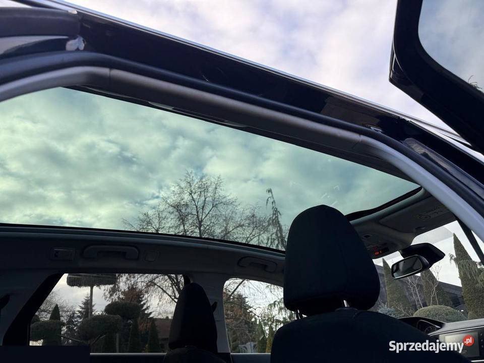 Peugeot 308 BlueHDi 120 StopStart Niveau 2 Krotoszyn