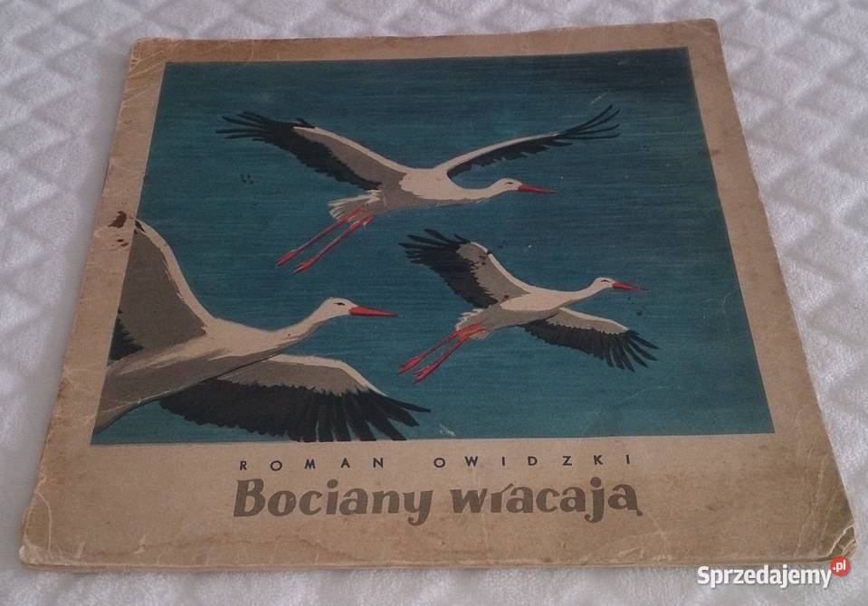 Roman Owidzki Bociany wracają Książka Czeladź