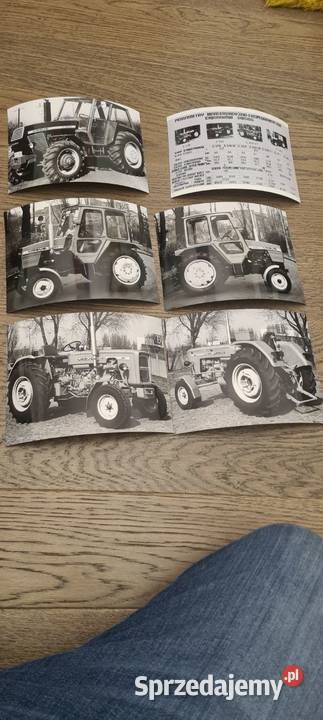 Naklejka niedźwiedź Ursus oryginał Warszawa