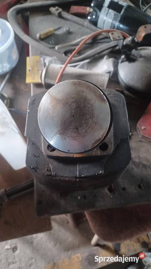 Cylinder dzik dzik 21 podkarpackie Tyczyn