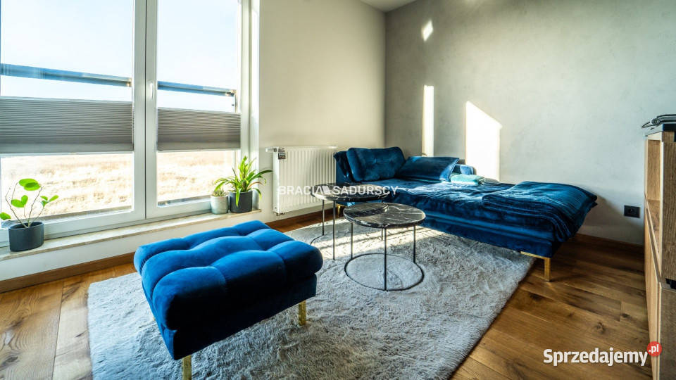 Mieszkanie 4203m2 2 pokoje Kraków bp Albina 42.03m2