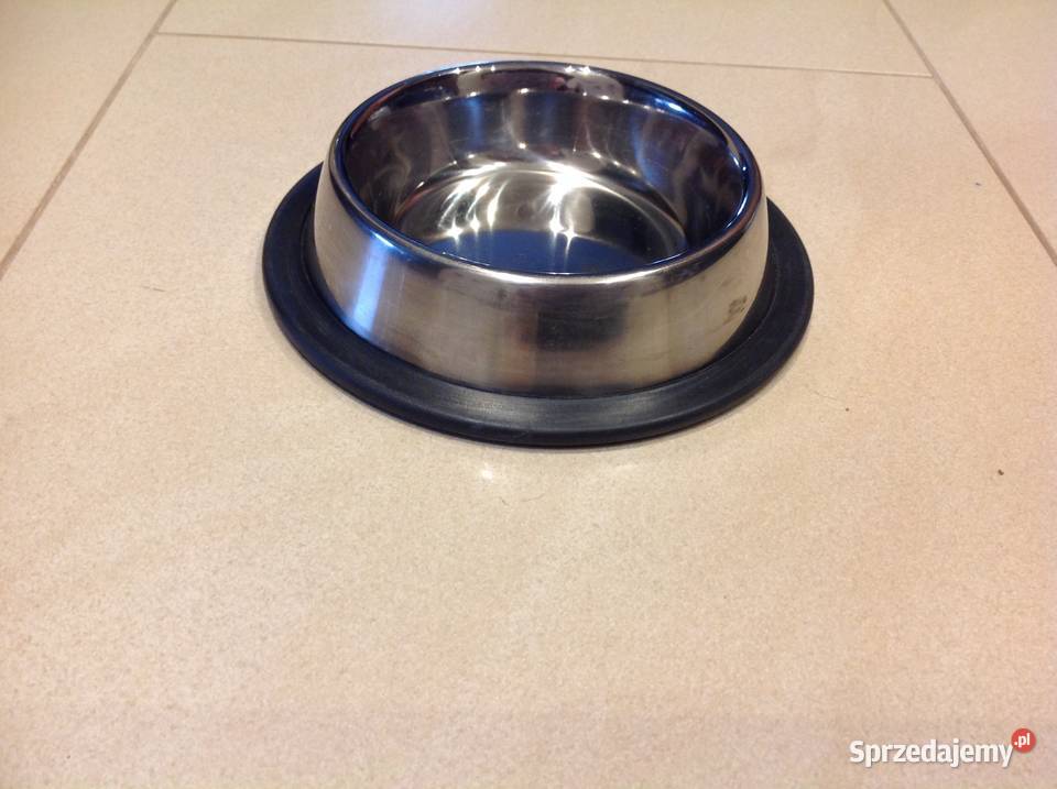 Miska Kota Psa Nowa Dla kotów Nowa Sól