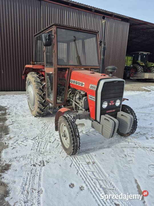Ursus 255 Okazja Likwidacja Gospodarstwa Konaszówka