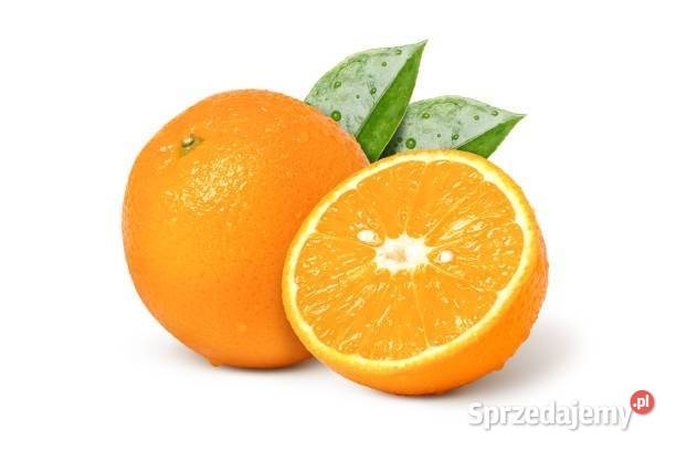 Hurtownia Warzyw Owoców Pozostałe usługi Katowice