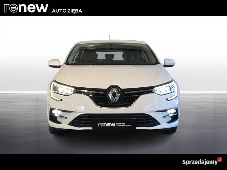 Megane 13 TCe FAP Zen 115 tuner TV Megane