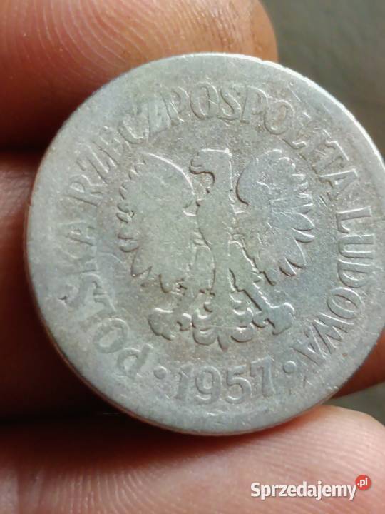 Sprzedam 1 zl 1957 qqqq Chełm