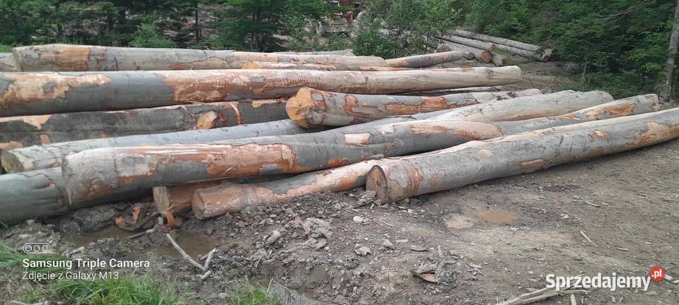 Drewno opałowe BUK GRAB drewno kominkowe drewno Krosno