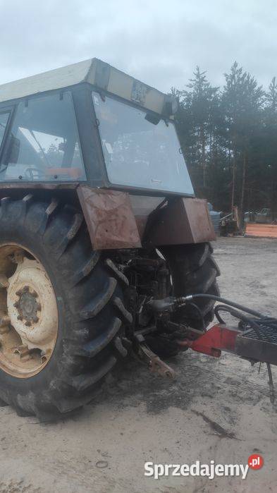 Zetor 8145 Krasnobród