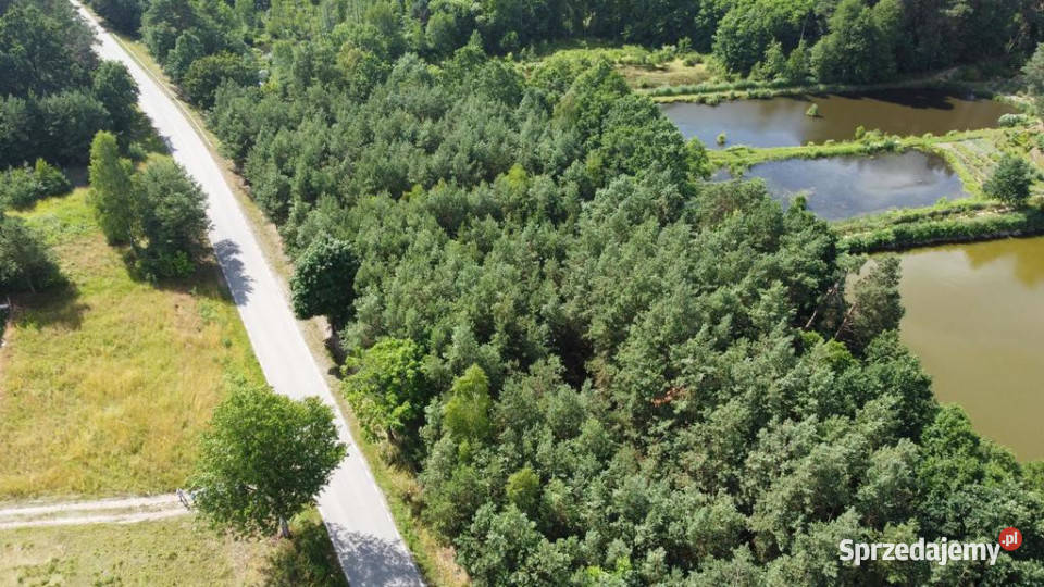 Działki budowlane w malowniczej części Przyłęka Nieruchomości Szlachecki Las