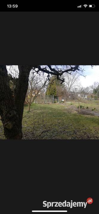 Działka ROD Imielińska Warszawa