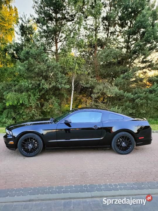Ford Mustang V 2014r 37v6 manual Połaniec