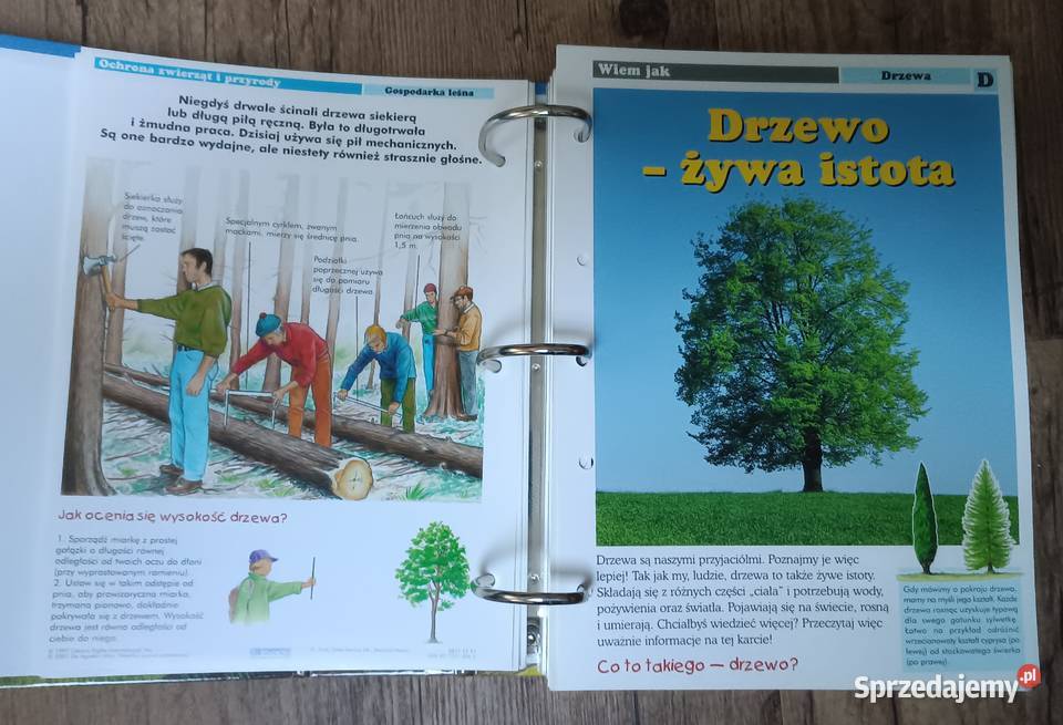 Leśne przygody karty z albumu DeAgostini Zbylitowska Góra sprzedam