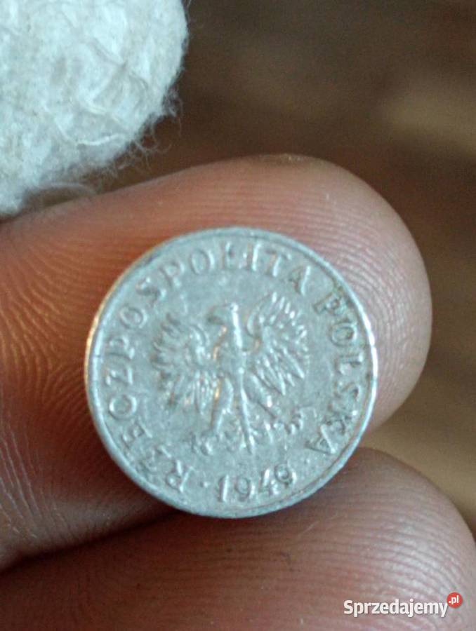 Sprzedam piaty 1 gr 1949 r bzm Chełm