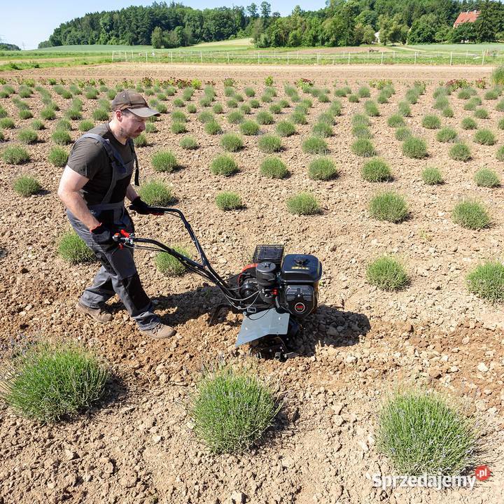 Glebogryzarka ALKO MH 540 Comfort Glebogryzarki podkarpackie Tajęcina sprzedam