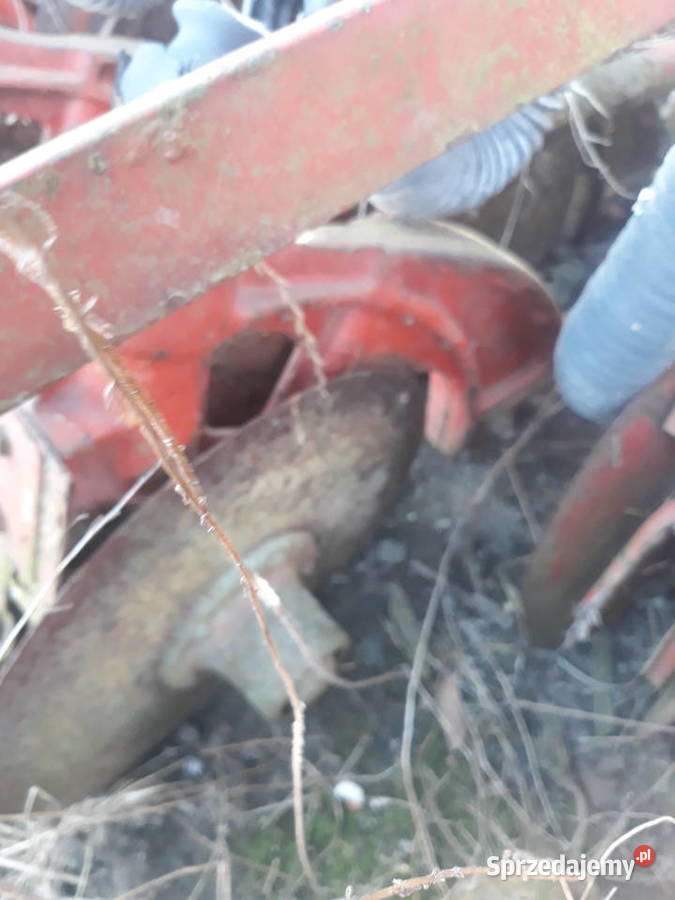 Siewnik rozyjski redlica talerzowa