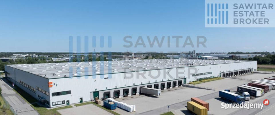 Hala klasy A S6 i S7 Wynajem Gdańsk