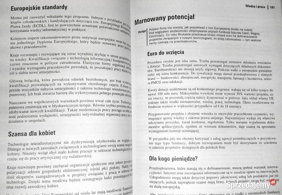 Ebiznes Nowa gospodarka Tomasz Teluk miękka lubelskie Chełm