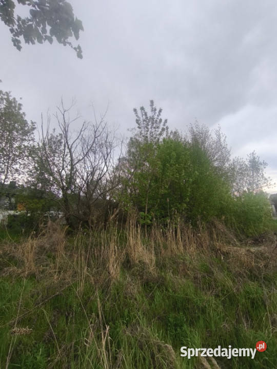 Działka Sosnowiec 149zł/m2